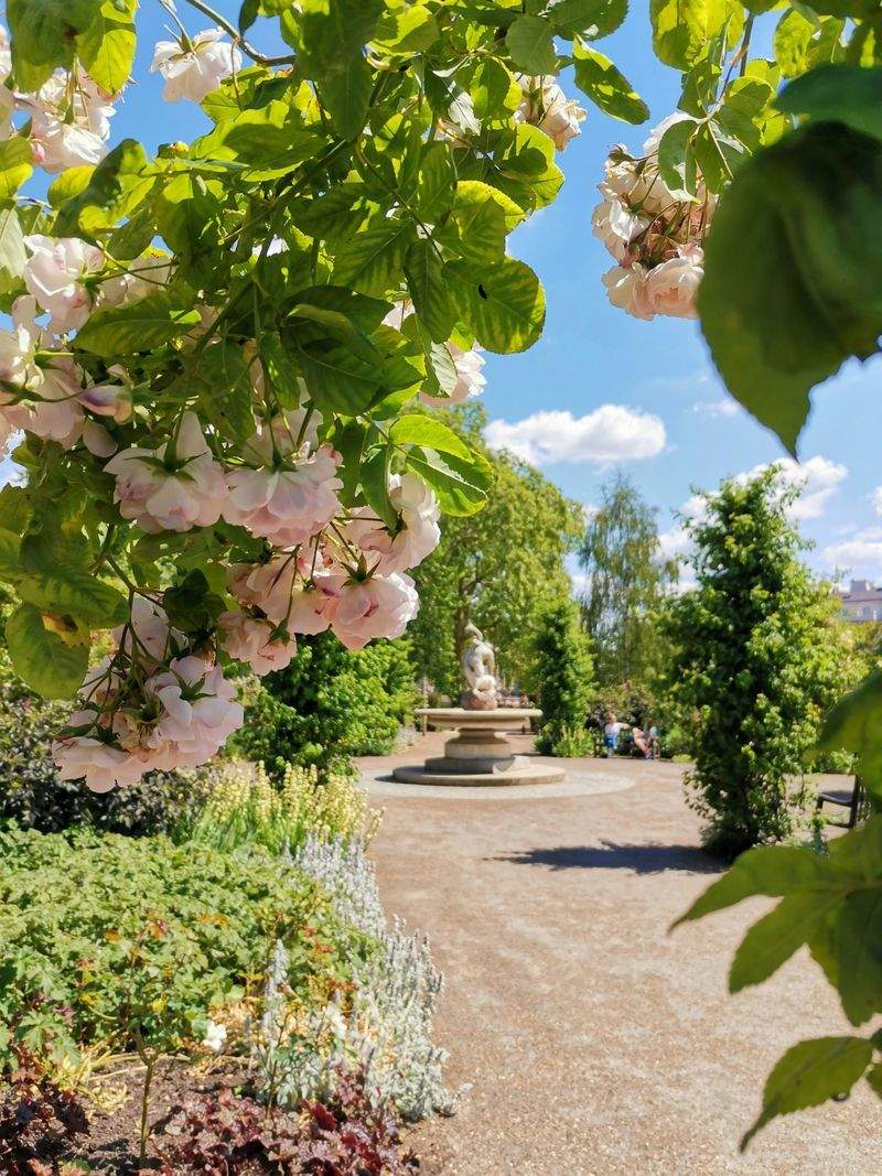5 Simple Ways to Refresh Your Garden for Spring