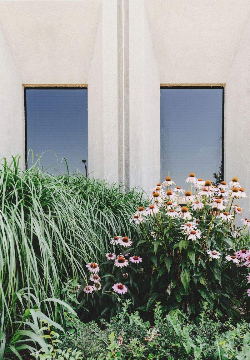 Illustrative Courtyard Refresh for a Boutique Guesthouse