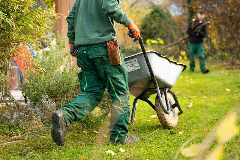 Lawn care and turf management