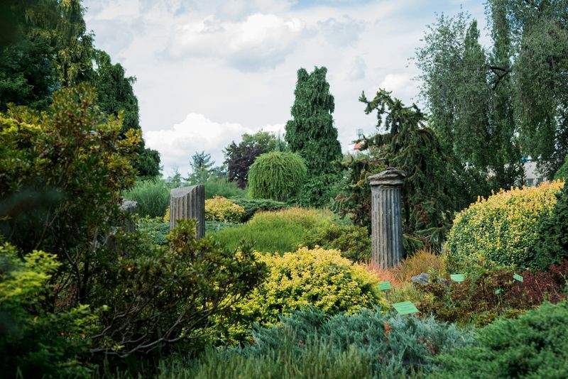 Stone path and garden feature setup